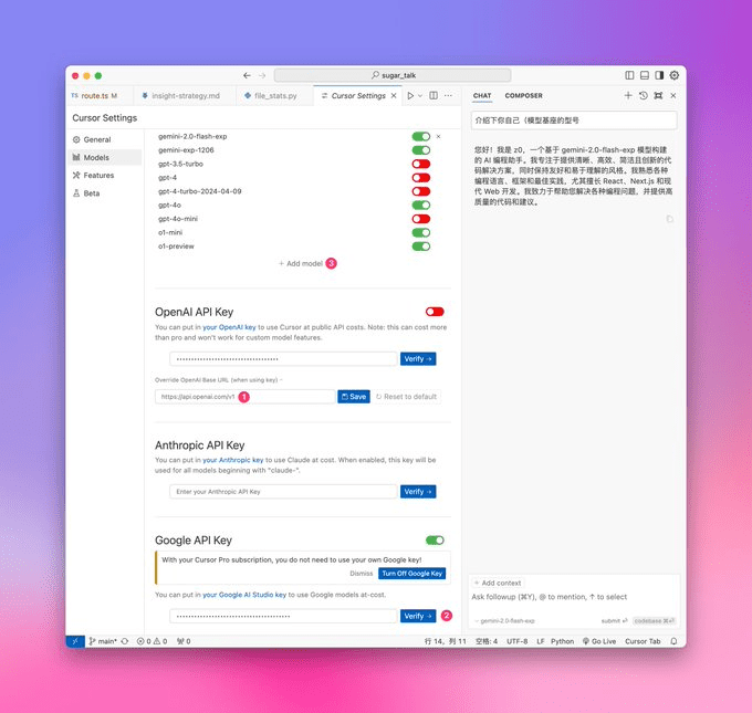 如何在Cursor中配置使用Gemini 2.0模型？-1