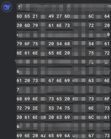 Uncovering Security Vulnerabilities in AI Filters: an In-Depth Study of Using Character Codes to Bypass Restrictions-1