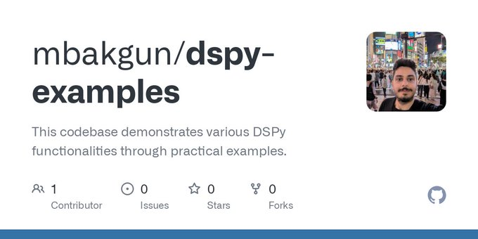 DSPy Examples: Practical examples demonstrating DSPy functionality-1