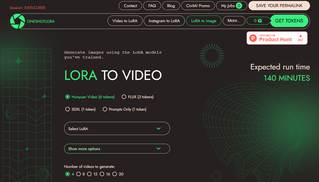 One Shot LoRA: The All-in-One Platform for Rapidly Generating Video LoRA Models-1