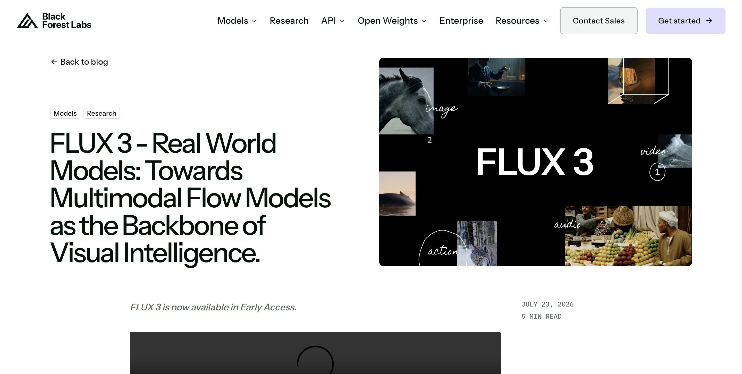 FLUX 3 - Black Forest Labs 发布的首款多模态基础模型